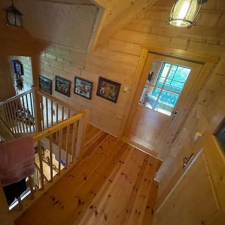 Pod Salamandrom Jaworki